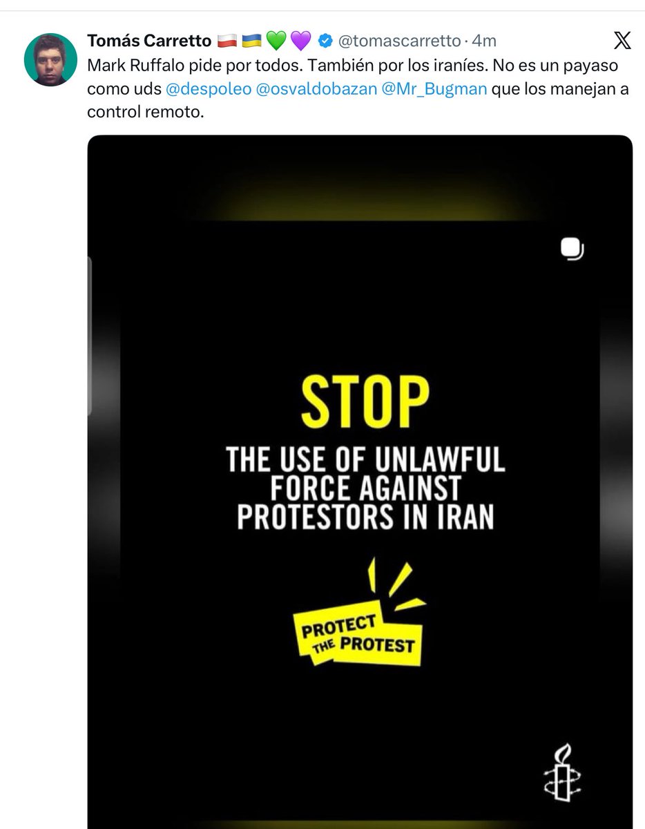 No, bobi. 
Ruffalo no pide por todos. Igual q Greta Y Pedro Pascal después de dos semanas de represión ponen una story (repost) en Instagram xq los putean sin pausa. Es una operación de RRPP. No hay TikTok  ni marchas ni pins ni flotillas, ni pedidos de boicot.
