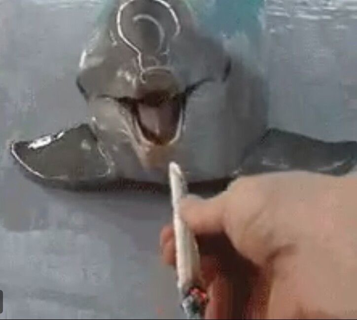 platogc88306's tweet image. Wen