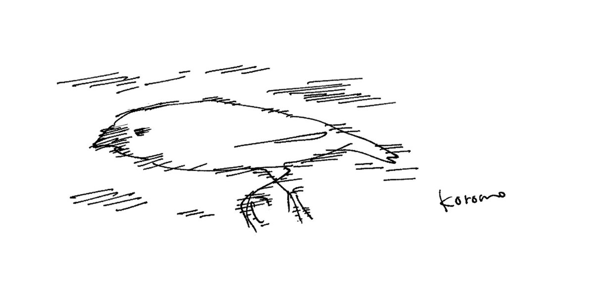 koromo (@opipi_omame) / Posts / X