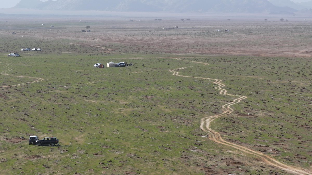 Amanat_Hail's tweet image. • حائل البهية 🌿

الربيع يسبق موعده 💚
📍في روض ابن هادي 

📸 | #حائل_الأجمل • #أمانة_منطقة_حائل