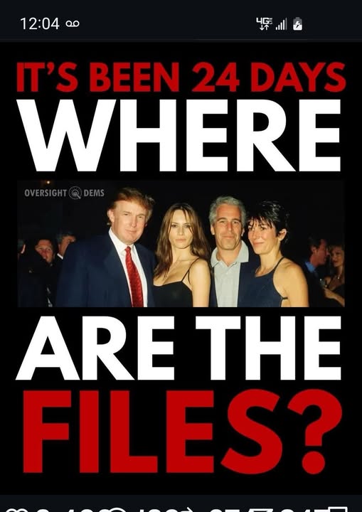 Poppy 💫🇦🇺☮🍅🥒🥕🥭🍊🍋 (@trevor_allan_1) on Twitter photo 