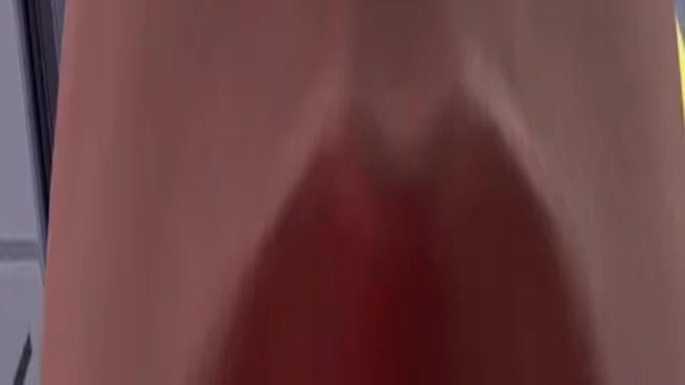 ok i think i got it this time