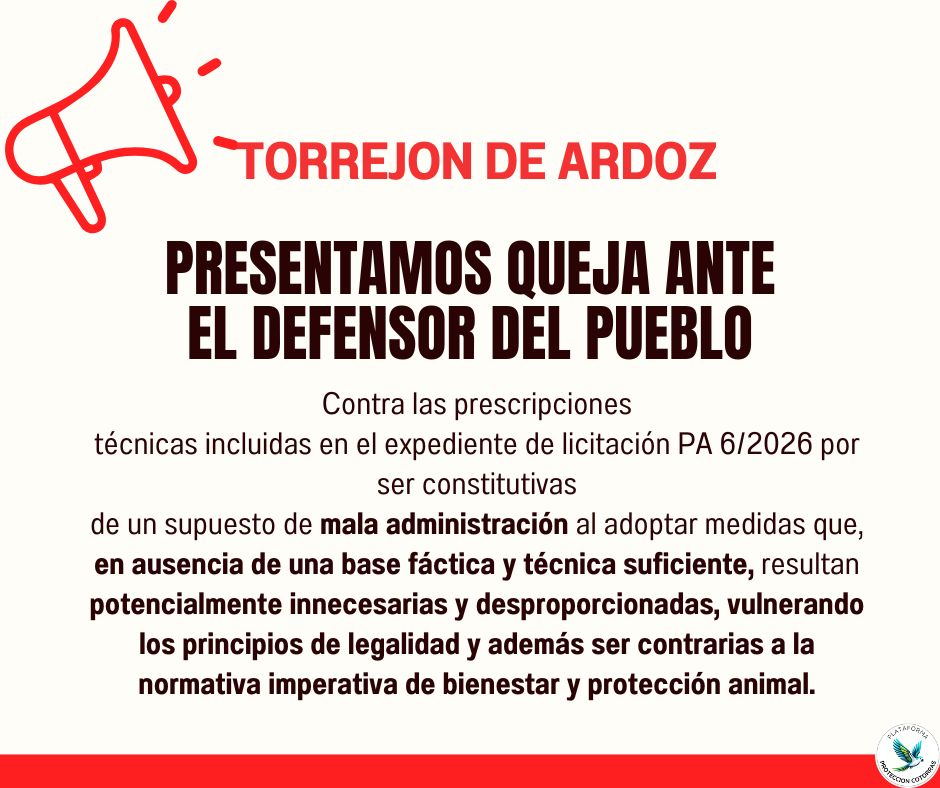Denunciamos mala administración en el PA 6/2026: medidas sin base técnica, innecesarias y desproporcionadas, contrarias a la legalidad. Exigimos respeto a los derechos de individuos con intereses propios. #cotorras #avesnaturalizadas #torrejondeardoz #antiespecismo #Licitaciones