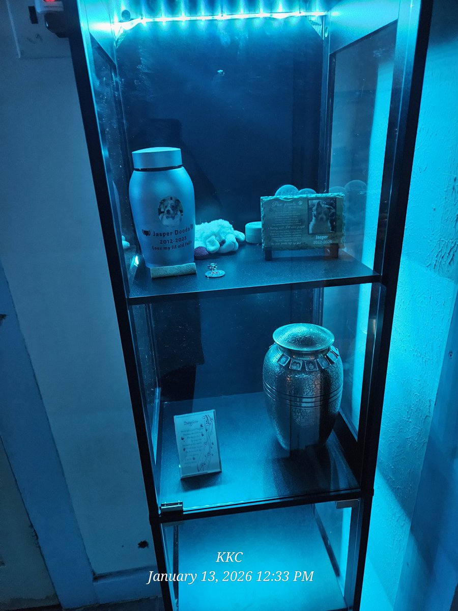 SpydeeC's tweet photo. I have saved Months to purchase this curio cabinet for my loves. Put together all by myself and am so amazed how it turned out. Love and miss my Jasper Dooda and my Jordan Denee. https://t.co/rkxP5VYeoL