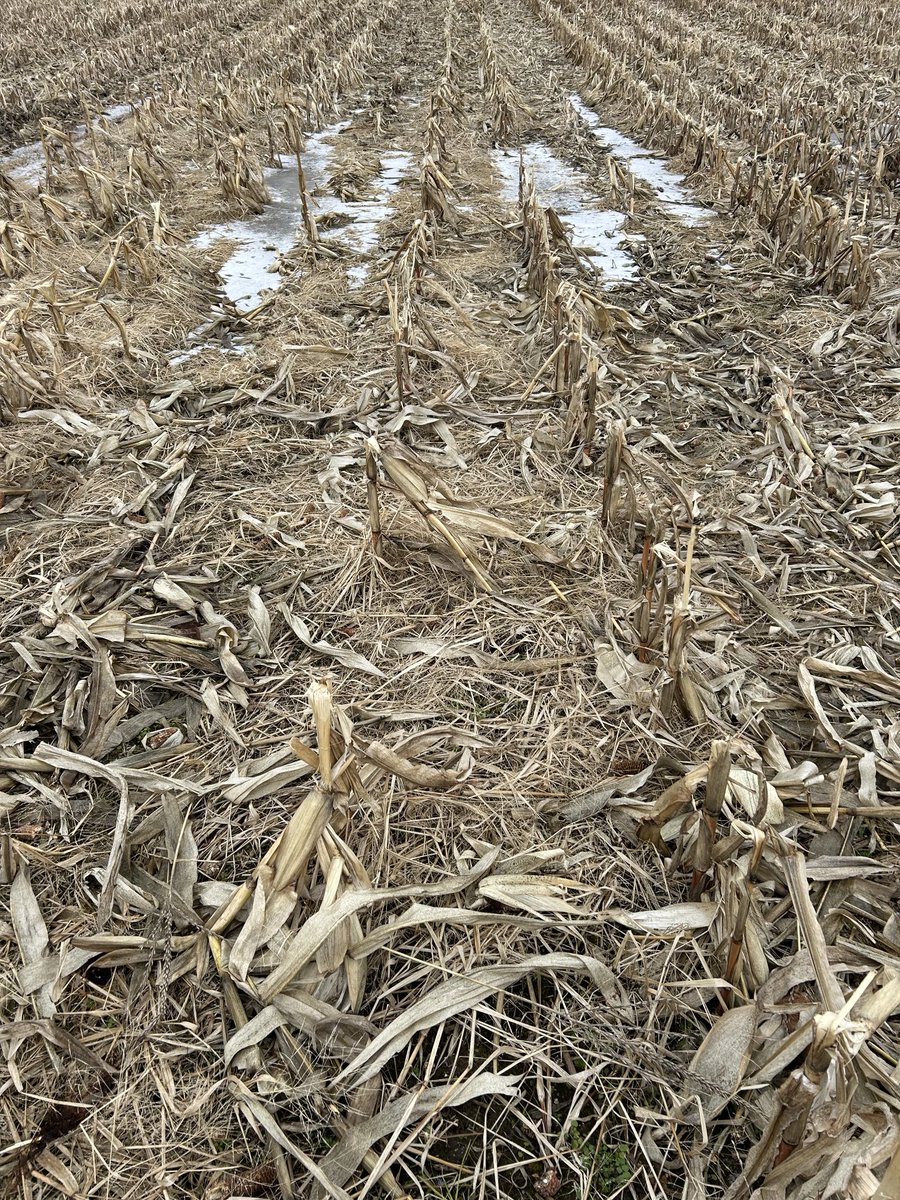 Ryan Benjamins tweet media