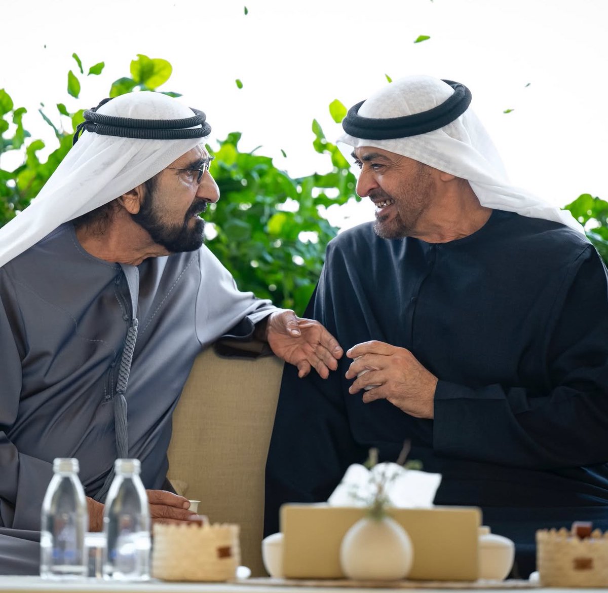 محمدين الدّار هم حصنه ودرعه والحزام🤍