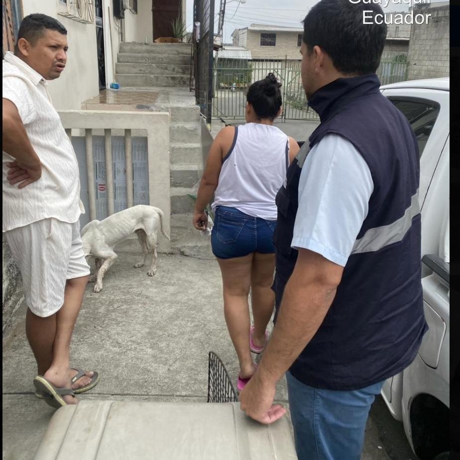 Gracias a una alerta ciudadana, el equipo técnico de  <a href="/Proanimal_gye/">ProAnimal_gye</a> acudió hasta la coop. Balerio Estacio para rescatar a un perrito herido y trasladarlo de inmediato al Centro Veterinario Municipal 🏥🐾, donde recibe la atención necesaria.

#AsiSeHaceGuayaquil 
#CiudadDeTodos