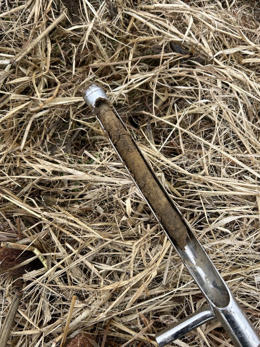 Ryan Benjamins tweet media