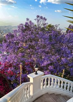 كوثر 🤍 (@kausaralamer) on Twitter photo 