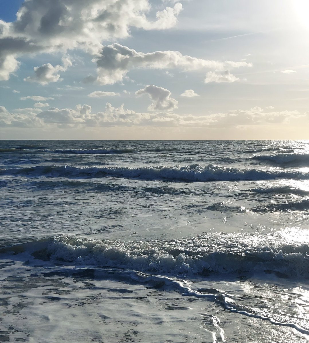 Maria Lea tweet media