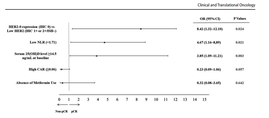 Enes Yeşilbaş tweet media