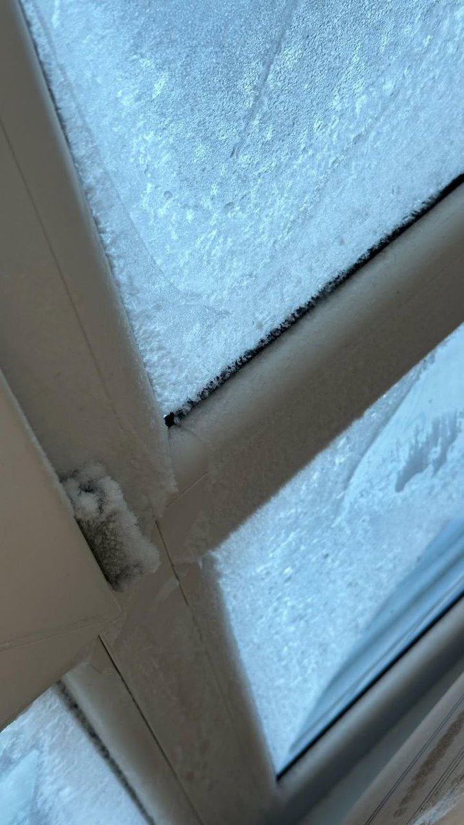 gewurztraminer tweet media