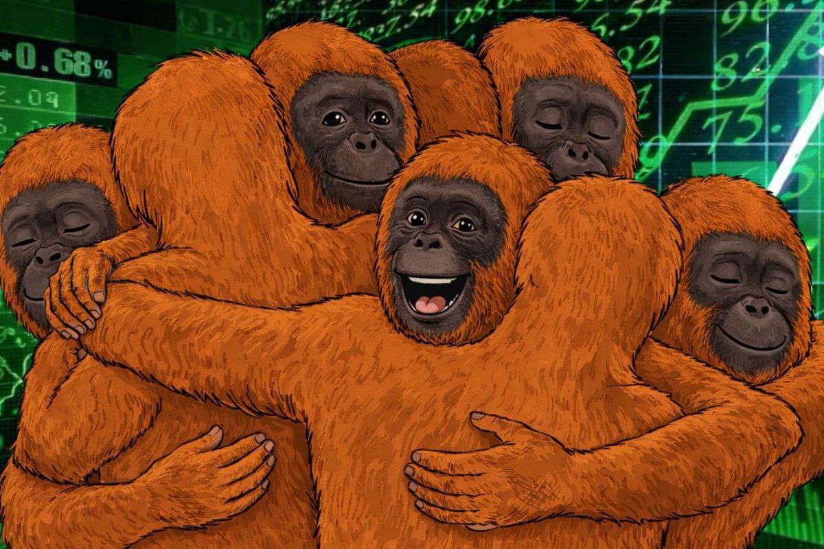 Here we go again CT, market pumping and we’re all happy !
We all feel like $OTON 🦧