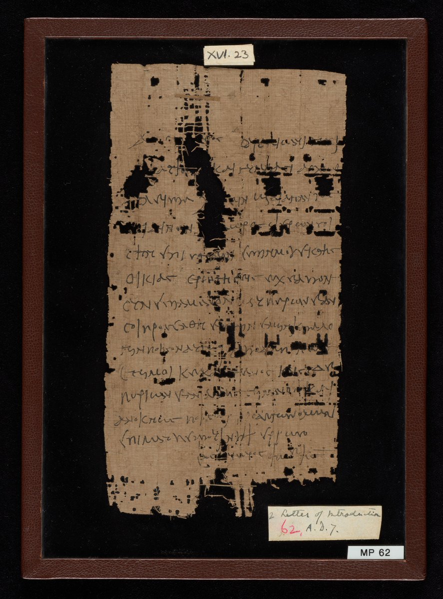 Seth M. Ehorn tweet media