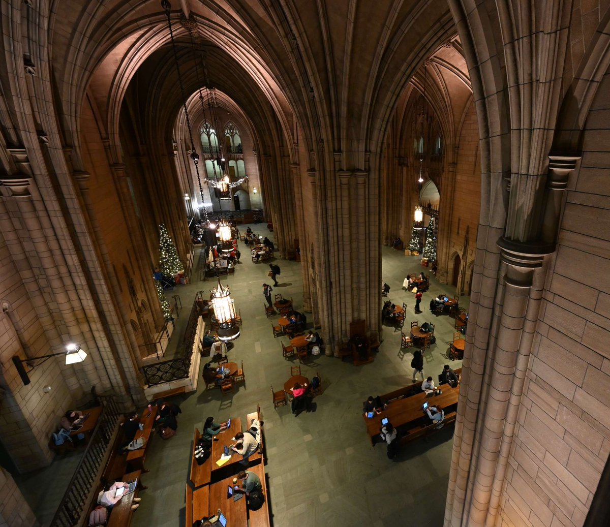 Pitt Provost tweet media