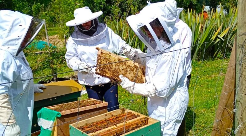 SAG llama a informarse ante nueva obligación de avisar aplicaciones de plaguicidas tóxicos para las abejas diariocondoresdelbaker.cl/?p=35810