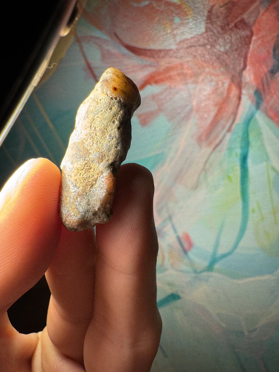 Matthew Fry tweet media