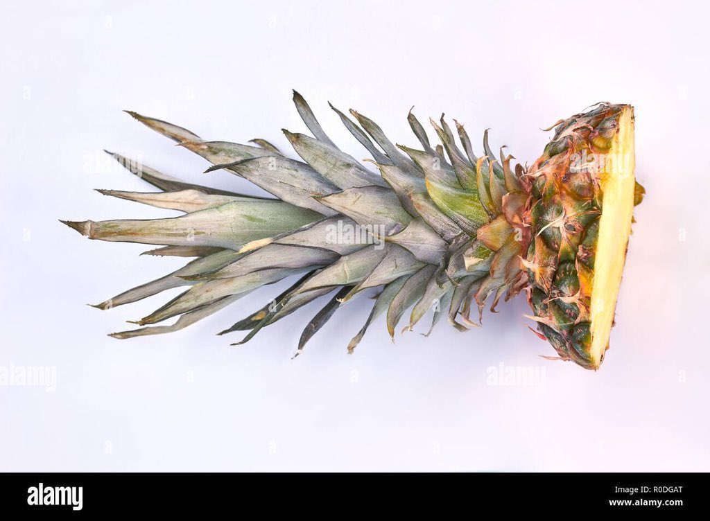 Boiling just the pineapple crown remains one of the best for killing your waist and joint pains. Adding ginger and cloves makes it super🍀