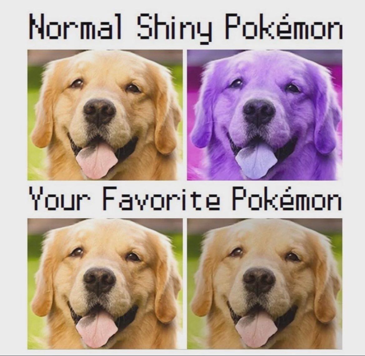 pokemon_daily's tweet image. fr