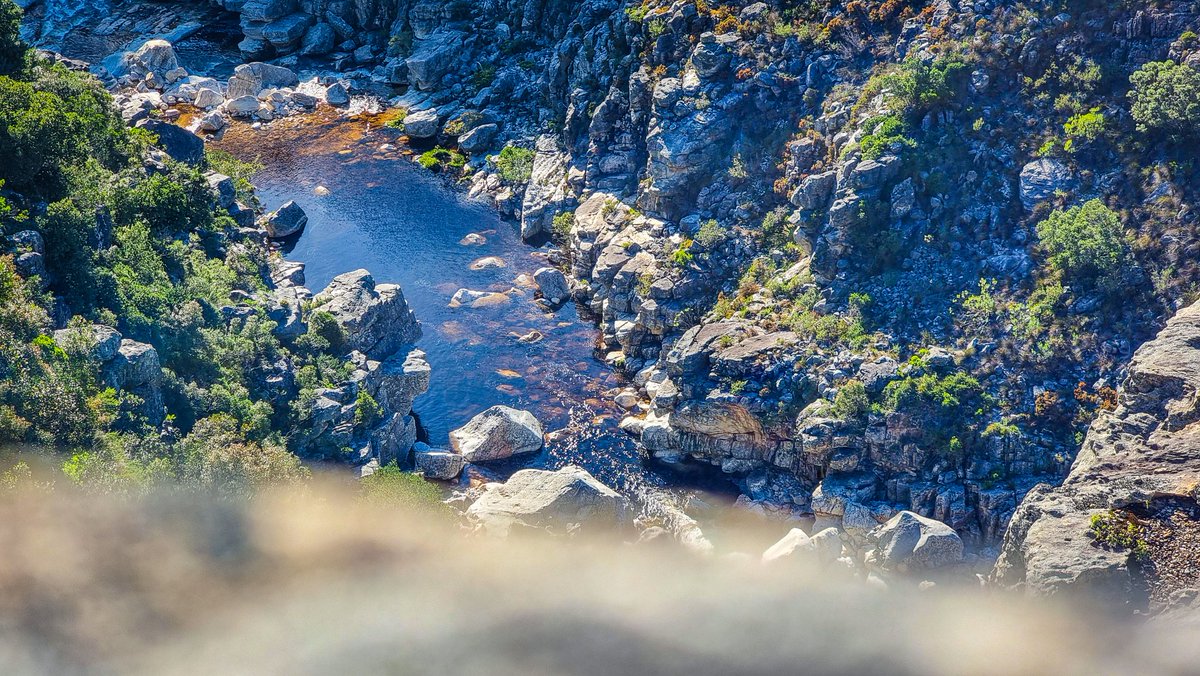 Neil Büchner tweet media