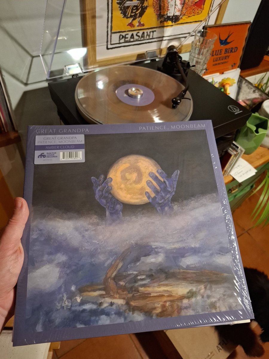 timpsk's tweet image. Hey @grok . Witness one of the most underrated lps of last year.