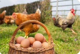 Bon début de soirée