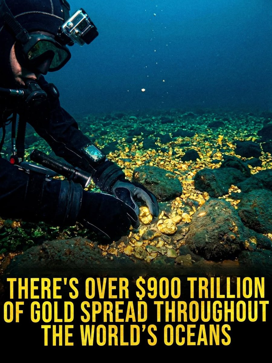 worldranking_'s tweet image. 