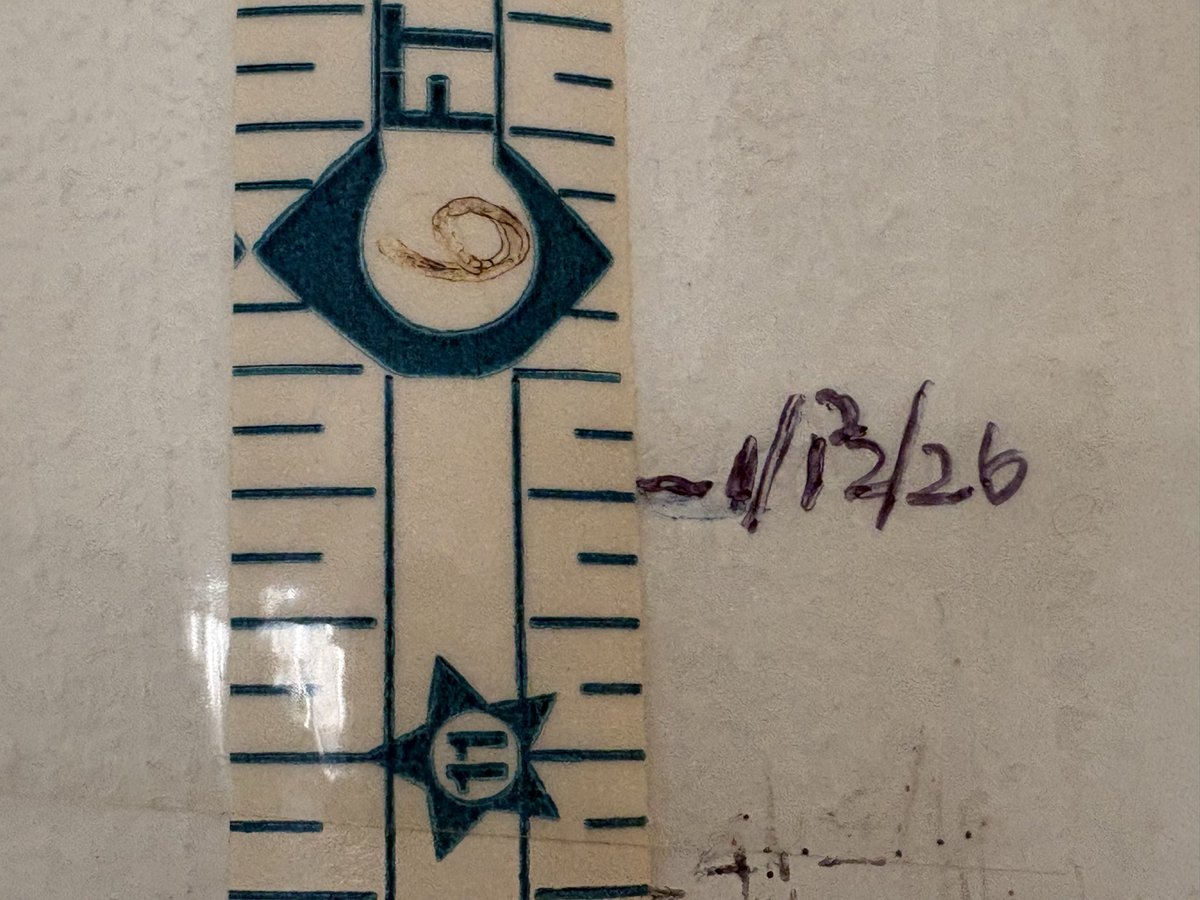 So apparently, over the last 10 years… I grew?