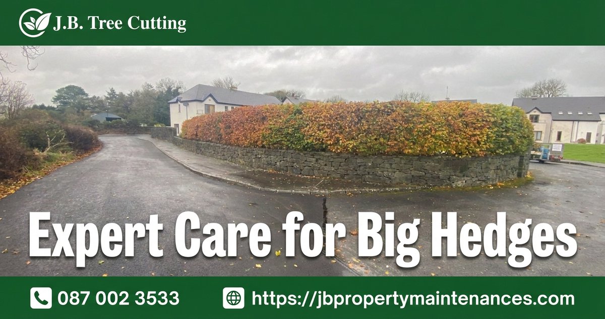 jbproperty_1's tweet image. No job is too big for the team at JB Property Maintenance! We specialize in keeping even the largest and longest hedges neat, tidy, and healthy all year round.

👇 
jbpropertymaintenances.com

#HedgeCutting #GardenMaintenance #LandscapingIreland  #JBPropertyMaintenance