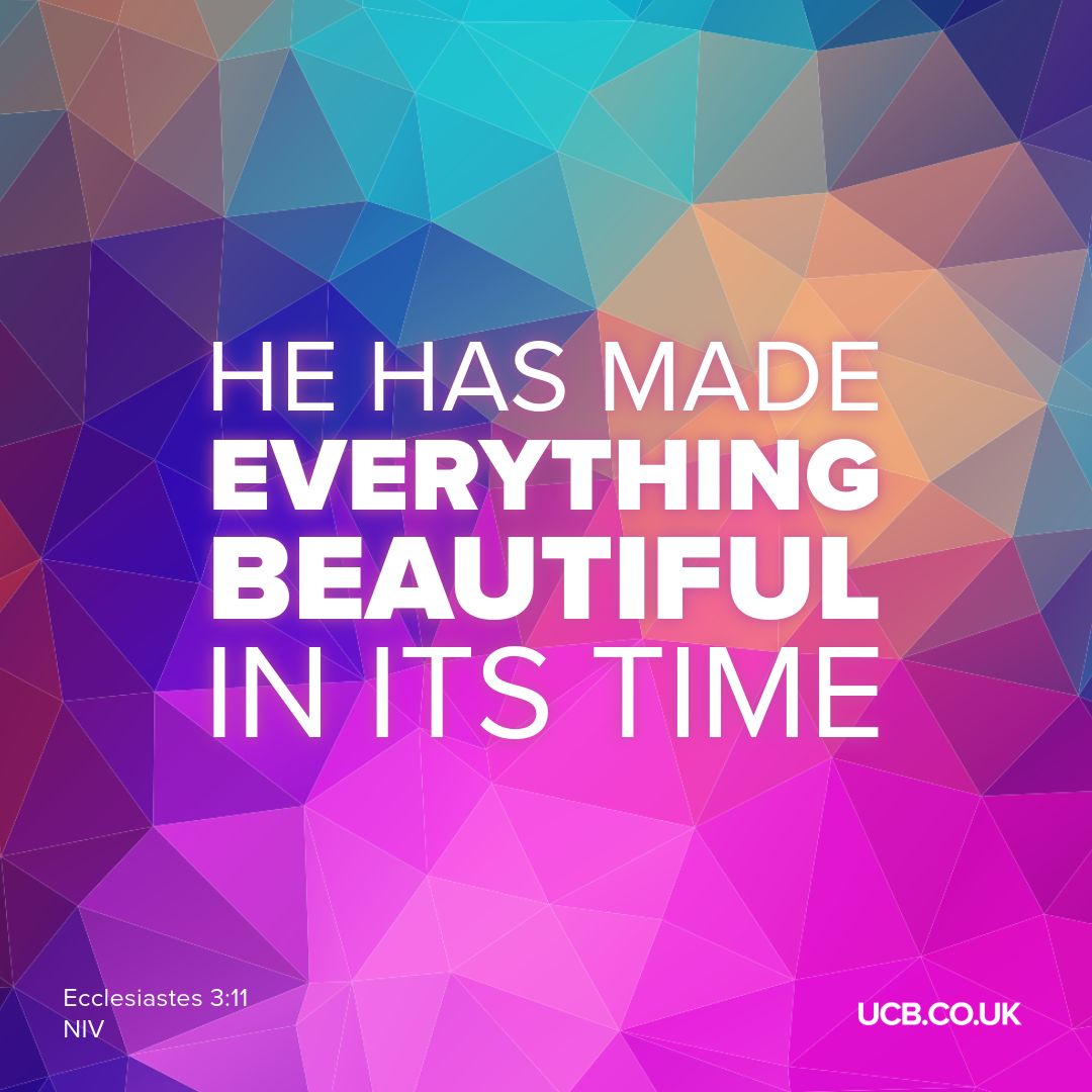 UCBMedia's tweet image. 