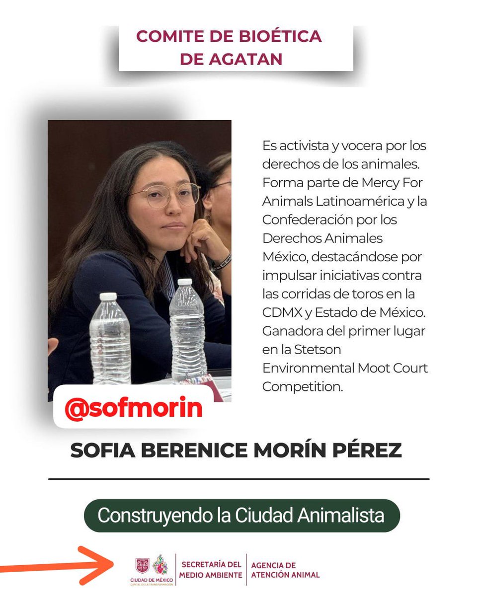 Cultura y Toro tweet media