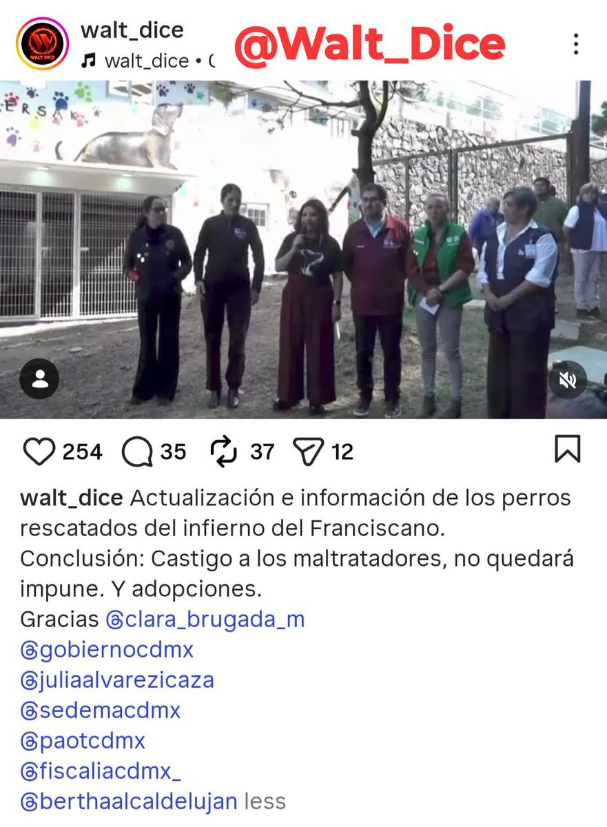 Cultura y Toro tweet media