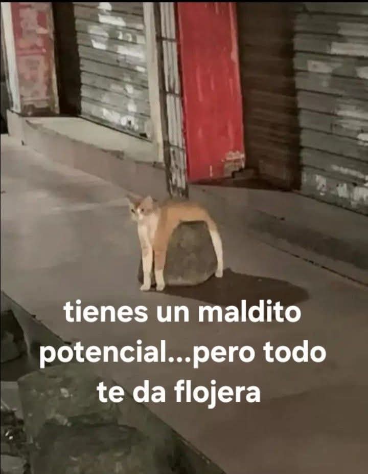 En_jupiter_'s tweet image. 