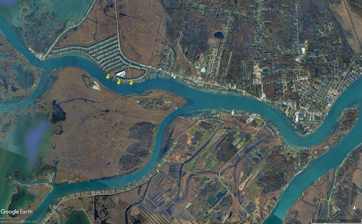 Andrew Briggs tweet media