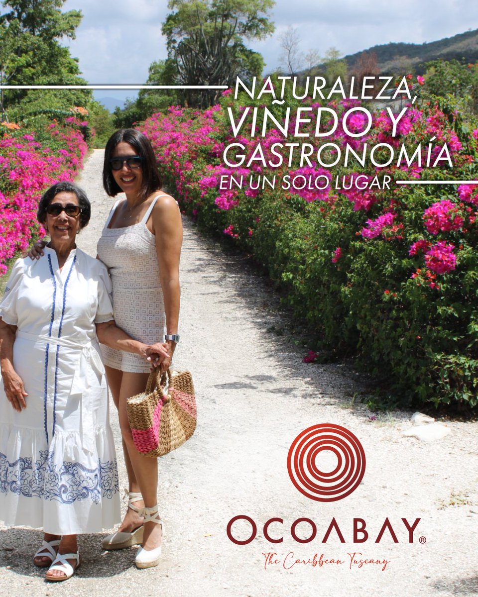 OcoaBay es un destino donde la naturaleza, el viñedo tropical y la gastronomía se unen para crear una experiencia única.
Descubre todo lo que te espera y haz de tu próxima visita algo especial.
#OcoaBay #DescubreOcoaBay #TurismoRD #ViñedoTropical #ExperienciasÚnicas