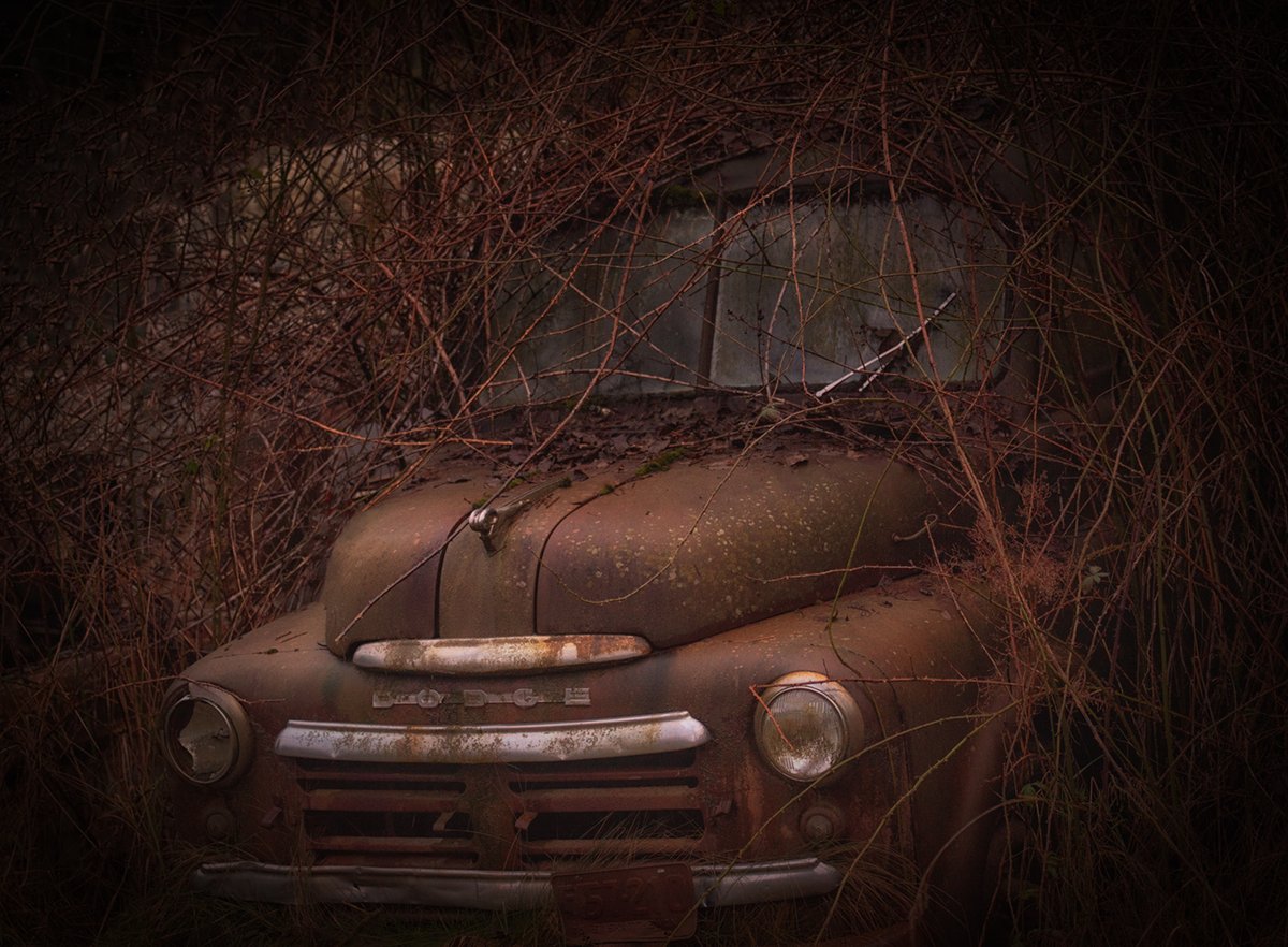 Sam_Alexandra23's tweet image. Good day Gang!  Today let's share captures of #Rusty things for #texture Tuesday! I have a soft spot of old cars, how about you?  Have a lovely day out there and be safe.  #Photography📸😊