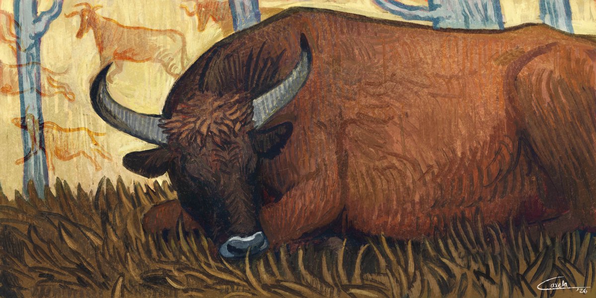 caxela1's tweet image. The Last Aurochs