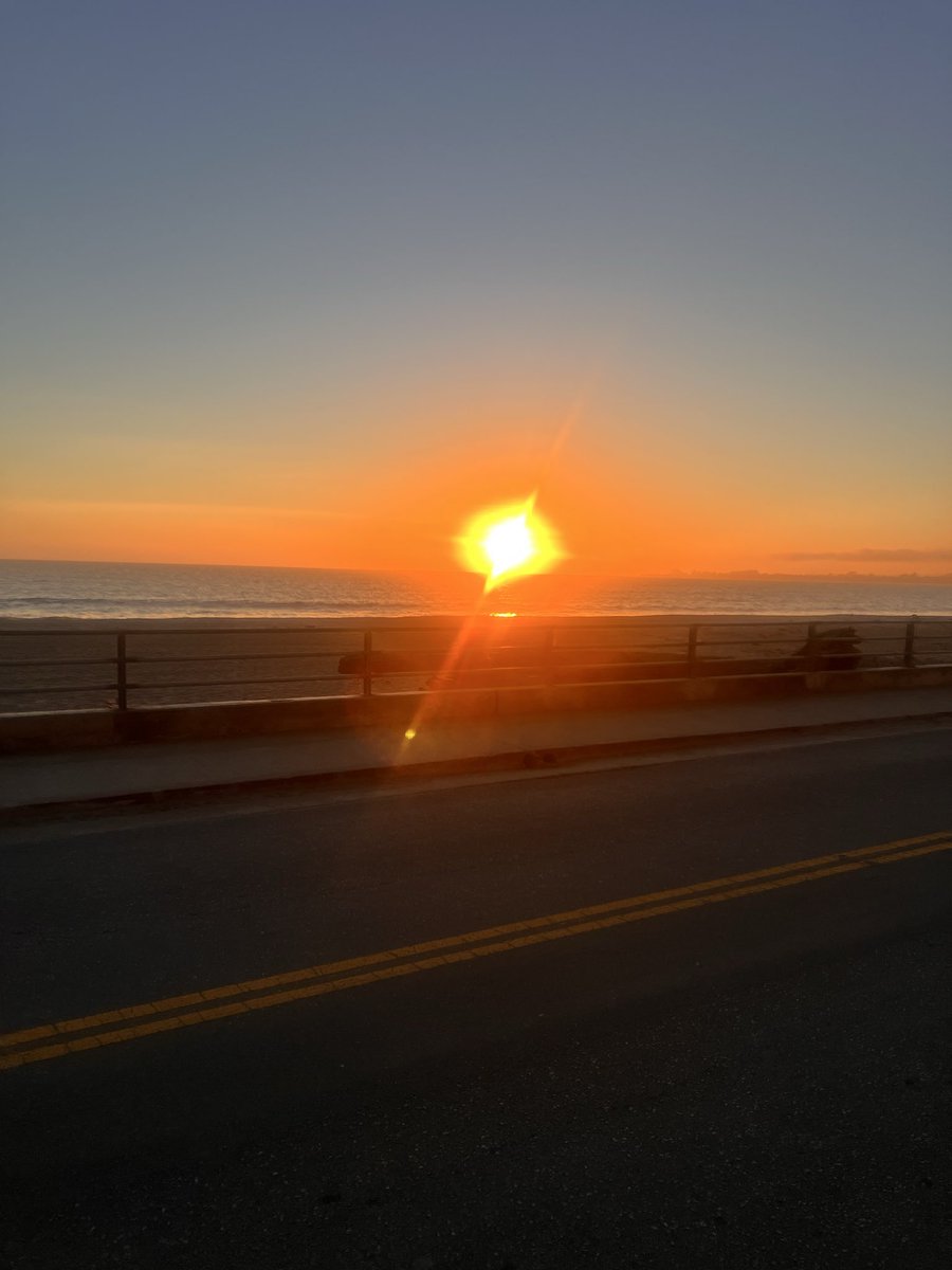 DanHammin tweet media