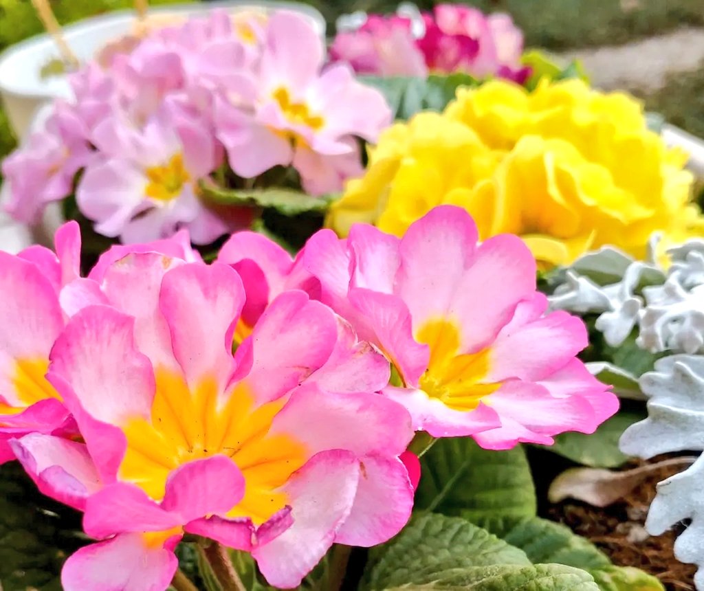 のんちゃんにﾎﾟﾁｯ❤️