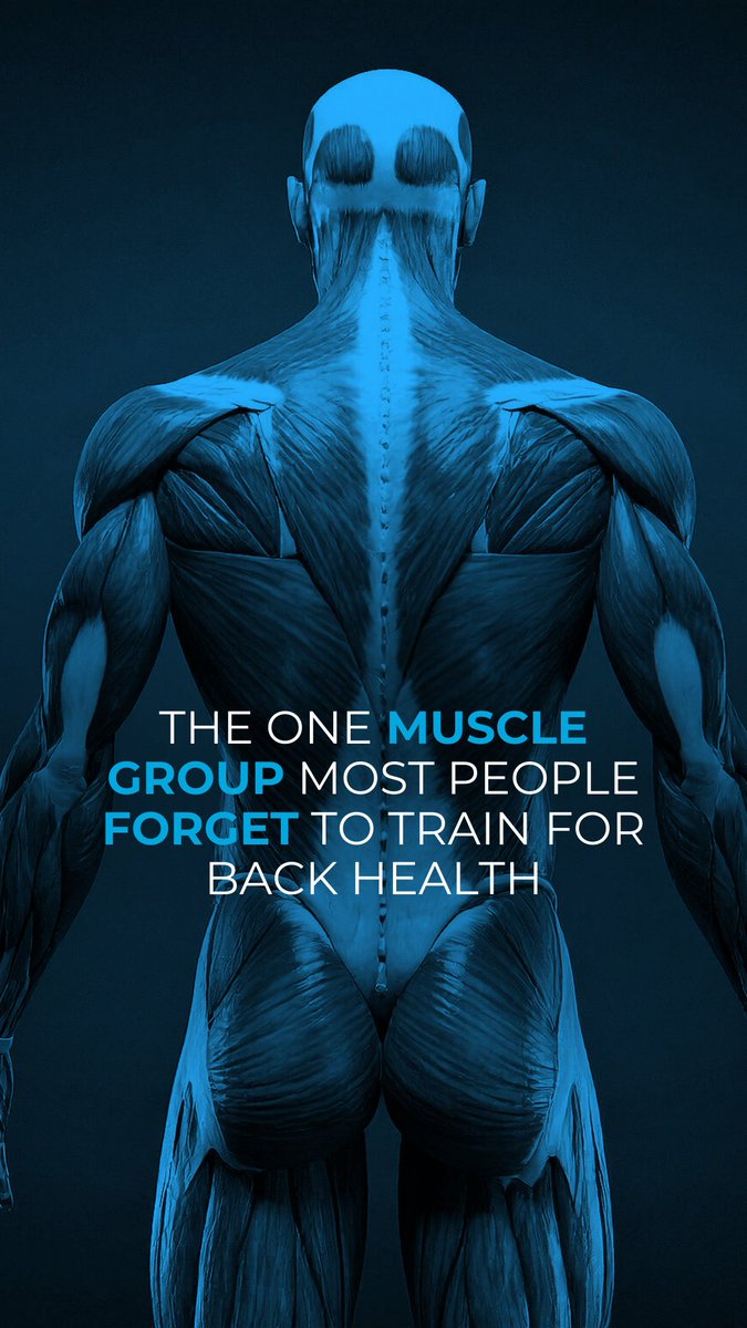 JDchiro's tweet photo. Your abs aren’t what protect your spine.
Deep stabilizing muscles do.

When they’re weak, discs take on extra pressure.
That’s where pain begins.

👉 Save this if you train but still have back pain.

#BackPainRelief #SpineStability #CoreHealth #PainEducation https://t.co/kFYDGGkmvs