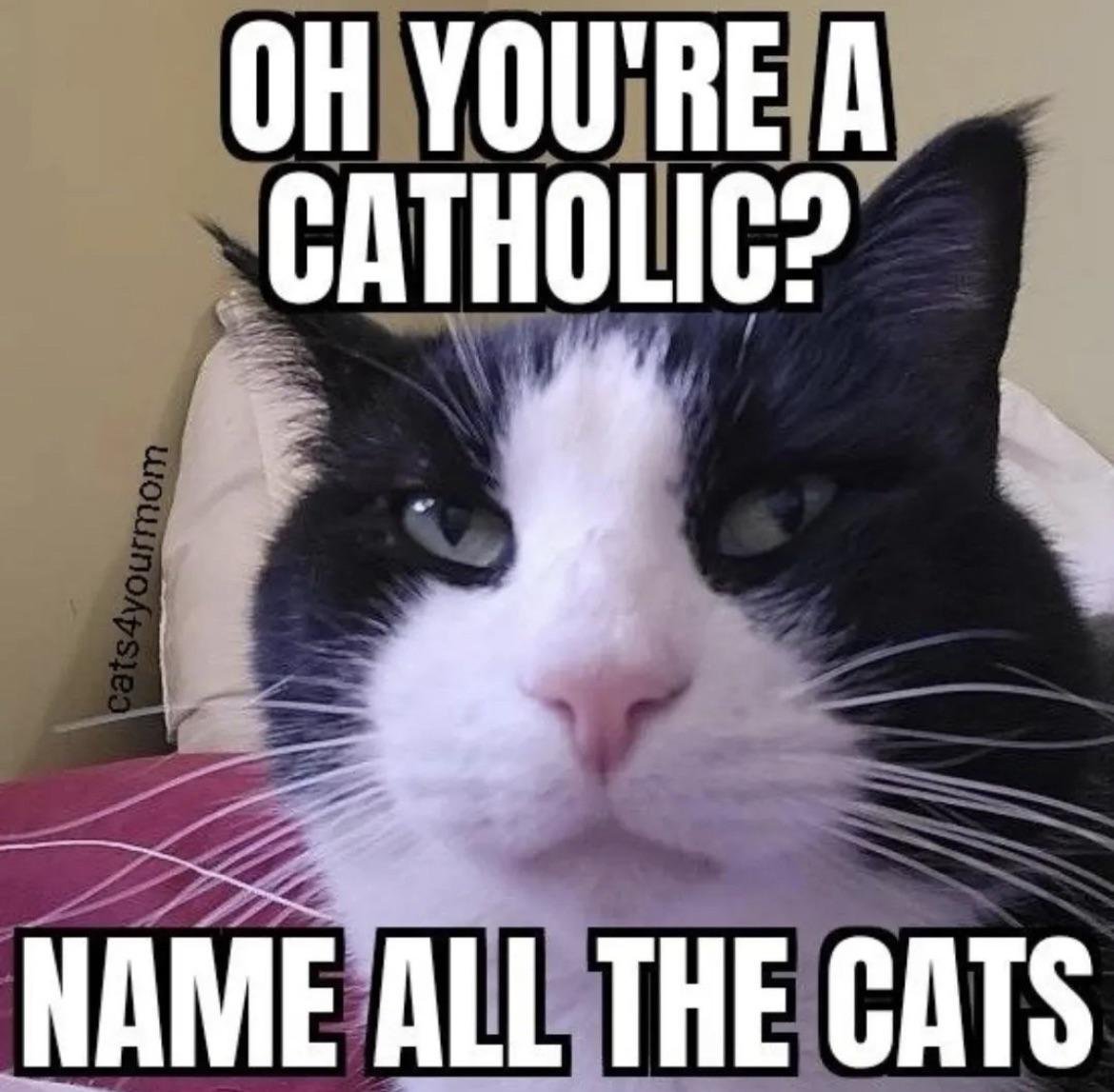 You know as a Protestant this amuses me but I'd prefer not to strawman Catholics because the Catholic church still teaches that homosexuality, sodomy, and pornography are sin... Just like all Christians.

By definition you are not "devout"

You're not a Catholic, you're a larper.