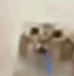 derpatron6000's tweet image. Today is a great day for.      uhmmmm.   urrrrrrrrr.             fuck.