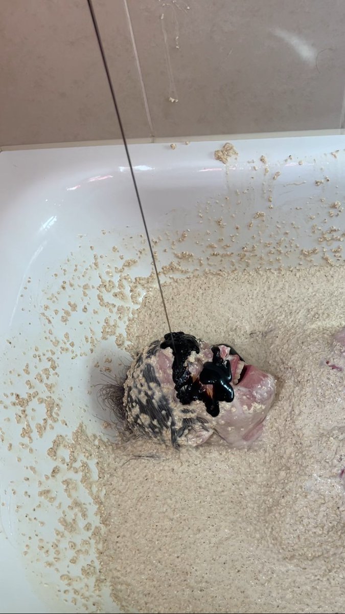 lusciouslaura31's tweet image. Porridge bath and treacle fascial, the messiest I've ever been 😍
#umd #wetandmessyfetish #wetandmessy #WAM #splosh #sploshing #gunged #gungedgirl #gungedwomenGet the full video at luscious-laura.umd.net or subscribe to my Only Fans page!