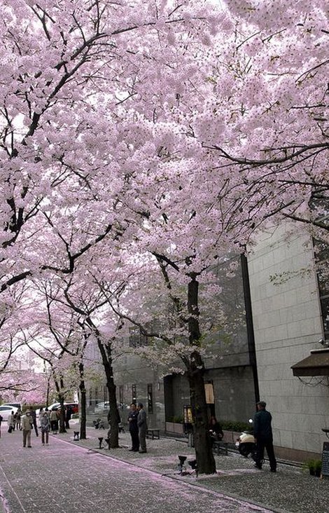 markopt9's tweet image. 朝6時起きがきつすぎて二度寝してしまった
遅刻確定でやばい 😵