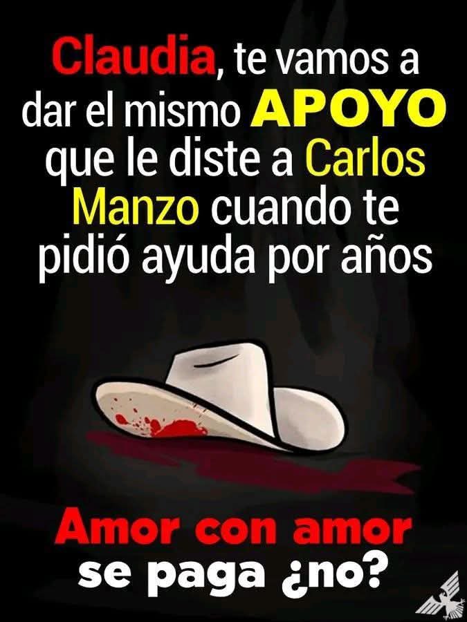 Justo así 👌🏻

#MorenaNarcoPartido