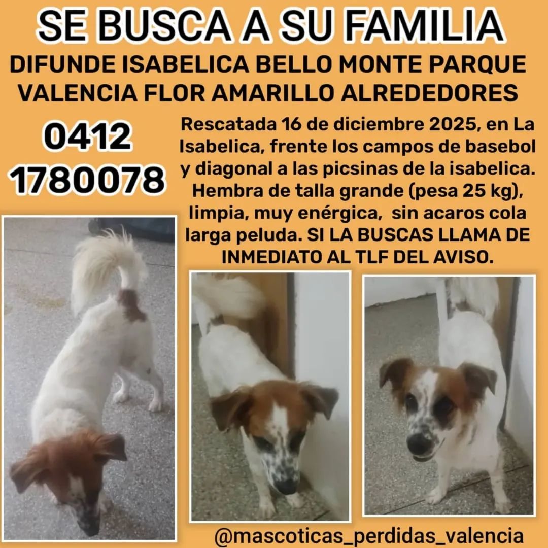 EXTRAVIADA en Valencia Carabobo