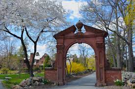 Dr. Adam D. Fried tweet media