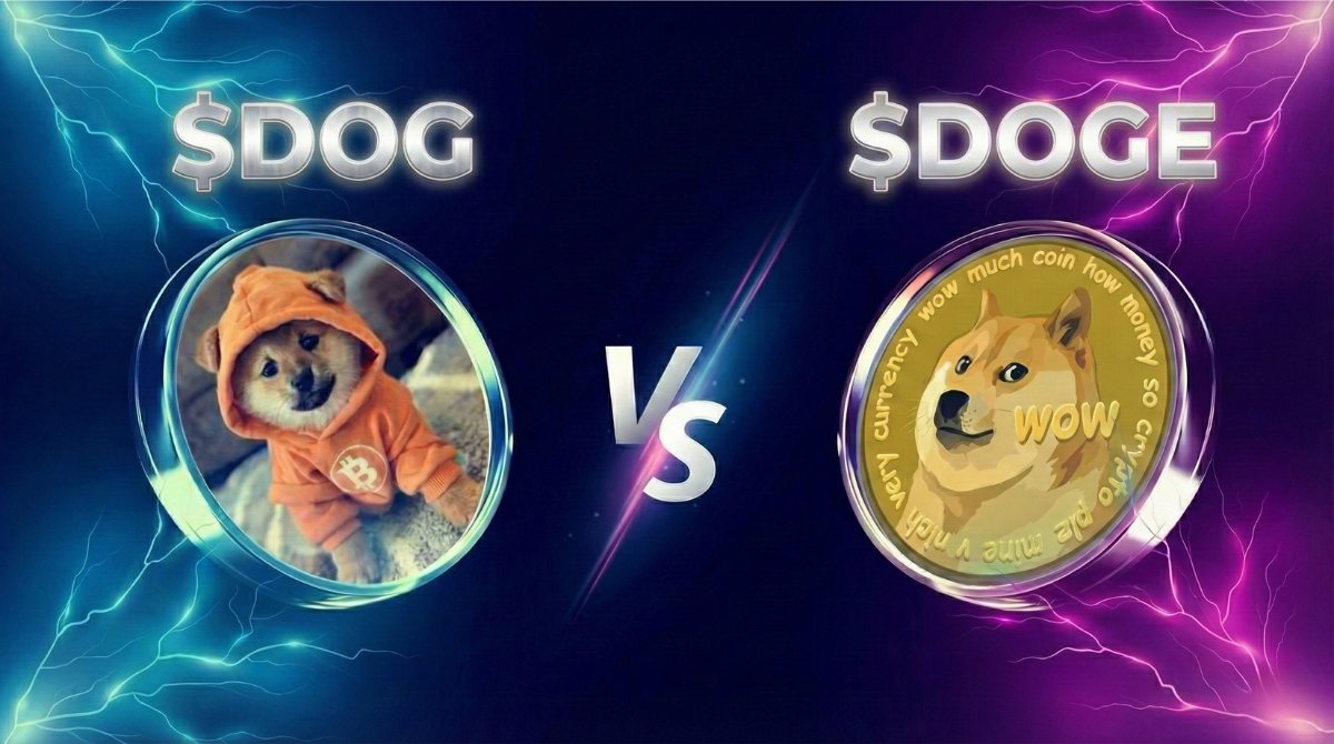 Omnity Network tweet media