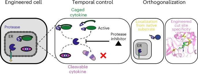 Norn Group tweet media