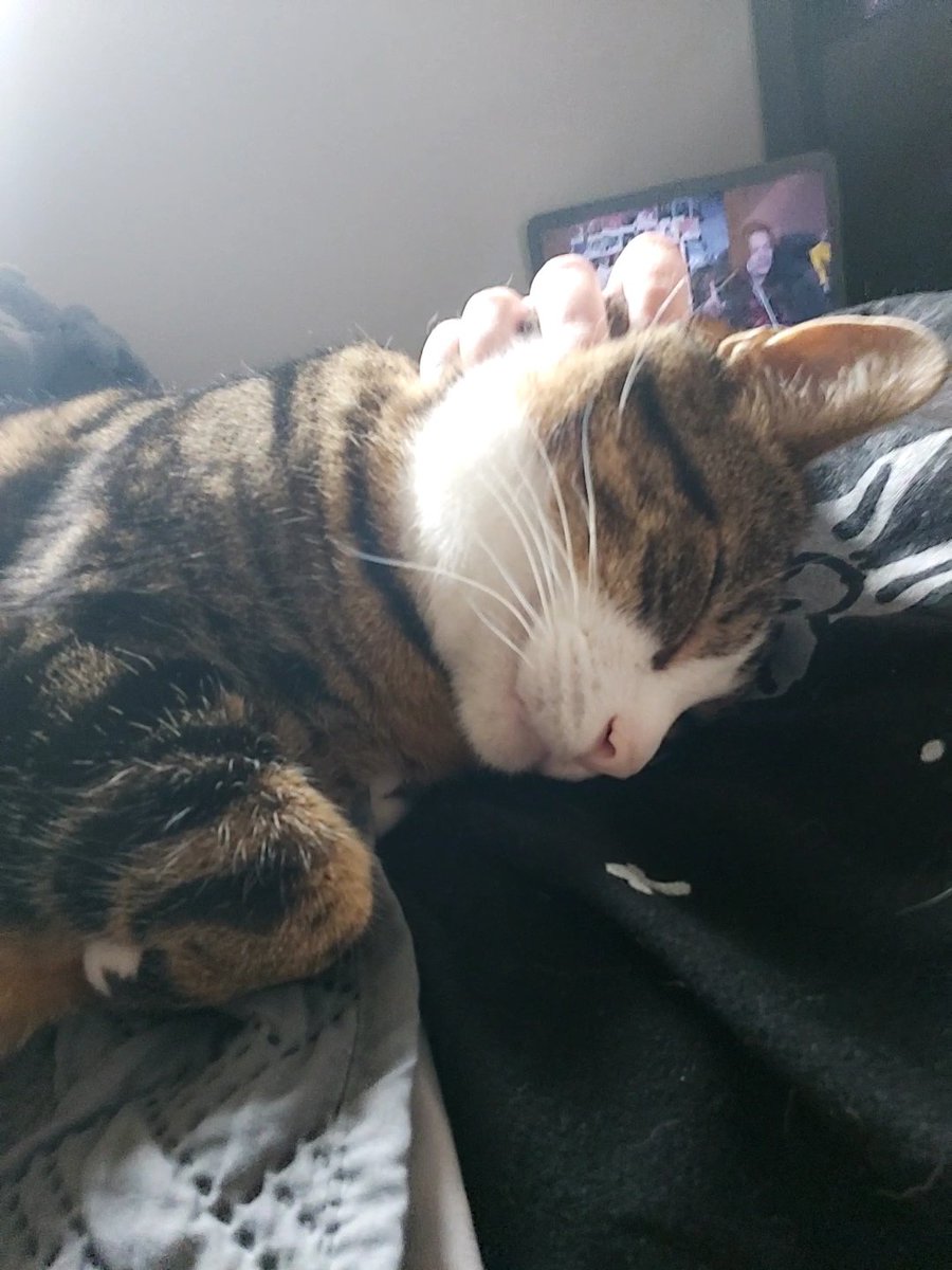 Forcing myself to relax today means Eddie is getting so much Mama Time. It's the best day of his life